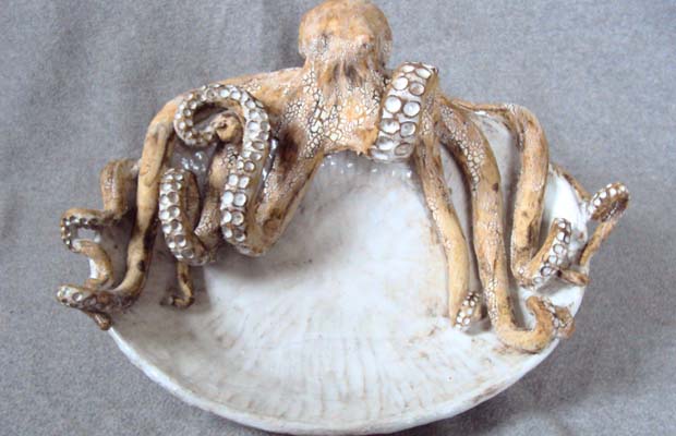 Shayne Greco Octopus Platter