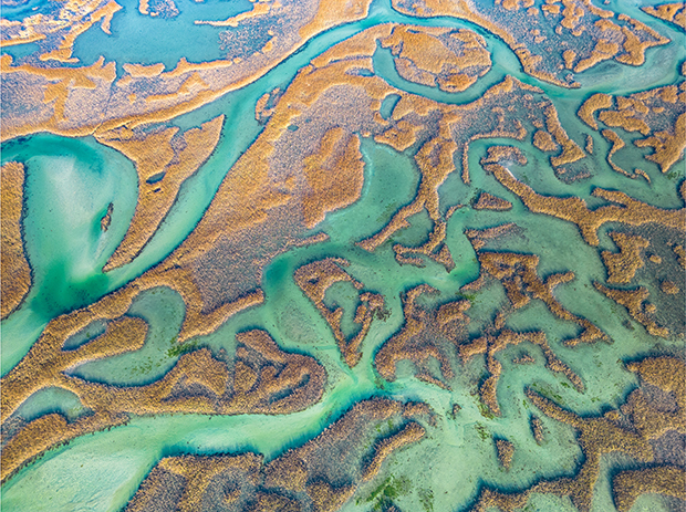 The changing face of North Carolina's commercial fishing industry